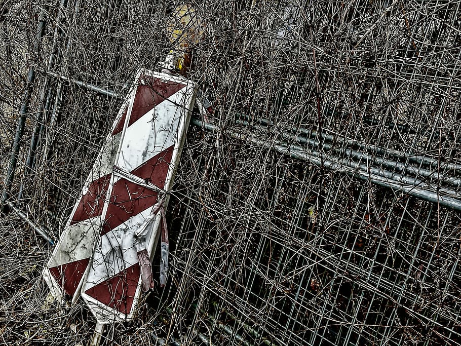 barrier, construction fence, ingrowing, bark, attention, day, nature, abandoned, tree, obsolete