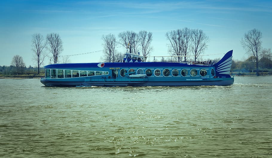 ship, moby dick, rhine, shipping, charter boat, bonn, event, unusual, wal, river