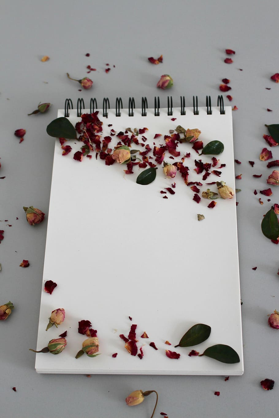 petals on notebook, background, notebook, note, leave, book, notes, write down, diary, enter