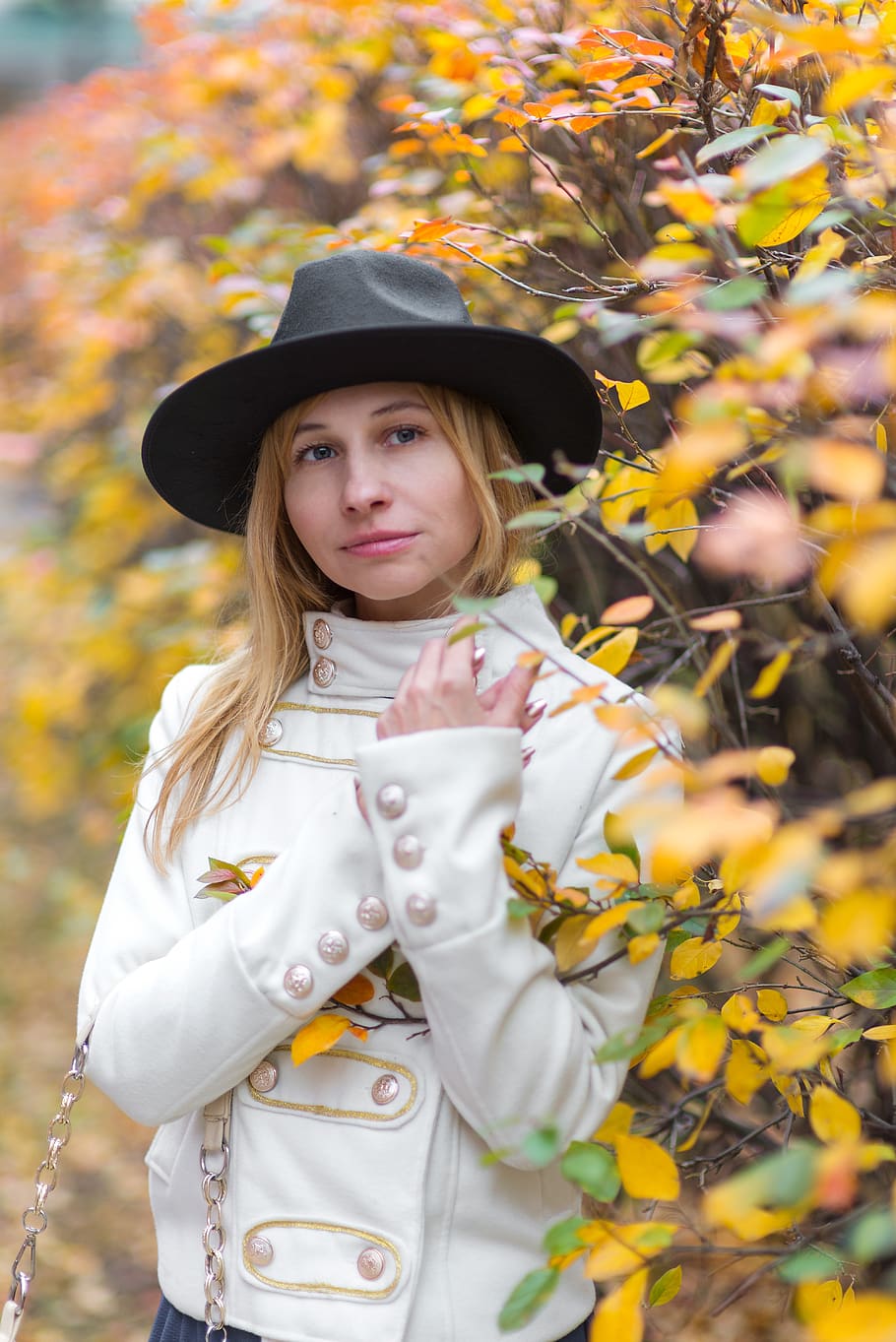 leaves, autumn, foliage, trees, shrubs, girl, nature, autumn in the city, autumn gold, in the fall of