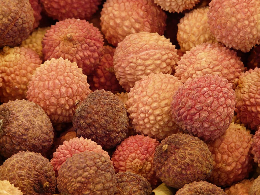 lychee fruits, Lychee, Litchi Chinensis, Fruits, Litsch, litchi chinensis fruits, chinese hazelnut, litschipflaume, love fruit, fruit