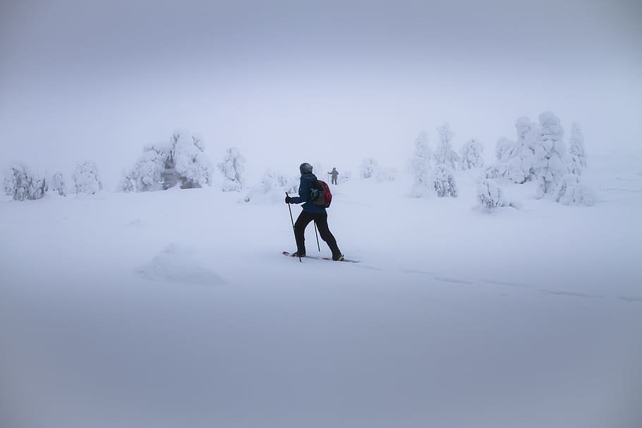 人スキー, 雪, 覆われた, フィールド, スノーシュートレッキング, スノーシュー, 霧, 冬, フィンランド, 寒さ