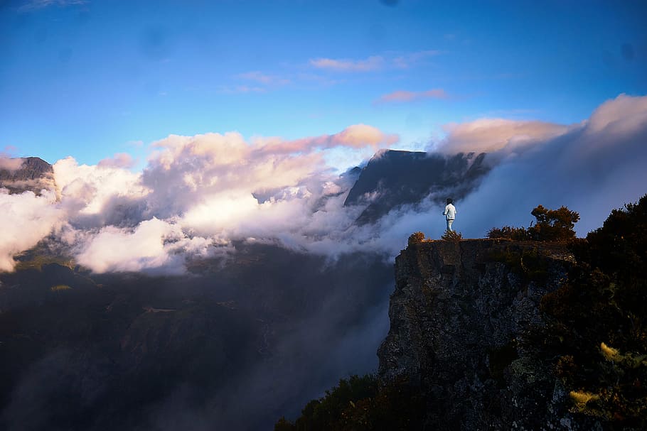 person, standing, mountain, highland, tree, plant, ridge, summit, peak, fog