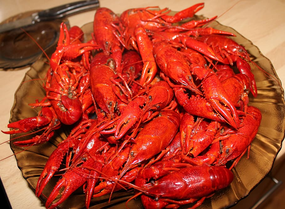 crayfish, chinese crayfish, Crayfish, Chinese, chinese crayfish, seafood, food and drink, food, crustacean, red, freshness