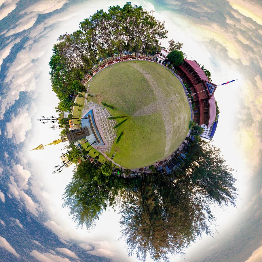 the earth is round, around, sphere, curve, circle, tree, plant, fish-eye lens, sky, nature
