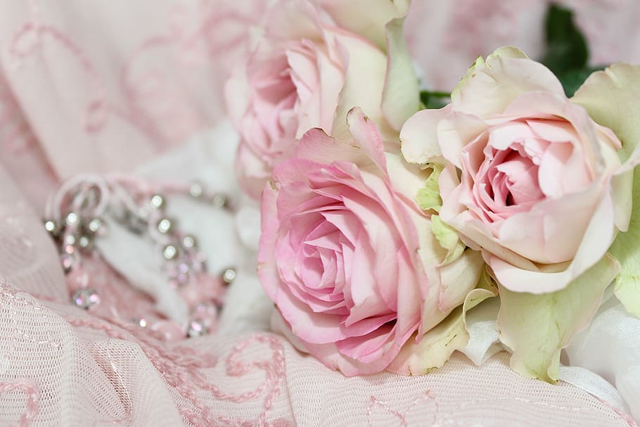 three, pink, roses, fabric surface, jewellery, bracelet, background, playful, romantic, invitation