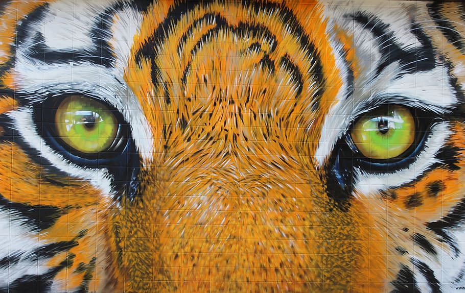 close-up photo, tigers eye painting, close-up, tigers eye, painting, tiger, eyes, predator, tiles, mural