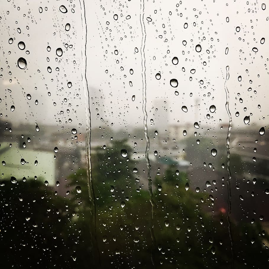 raindrops, rain, sprinkler, grain rain, drop, wet, water, window, transparent, full frame