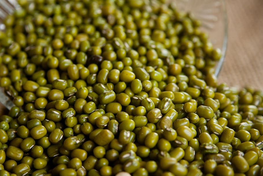 mung beans, moong beans, green gram, golden gram, beans, green, food and drink, food, freshness, abundance