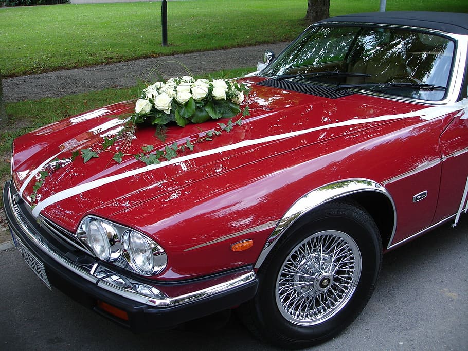 Wedding Car Decorations That Grab Attention, Wedding Forward