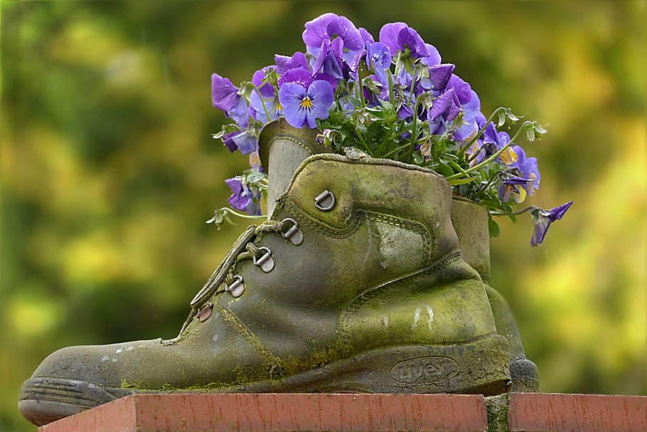 selective, focus photography, purple, flowers, green, boot, boots, shoes, old, large