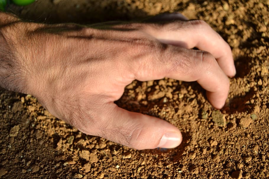 earth, farmer, work, effort, human body part, hand, human hand, one person, close-up, body part