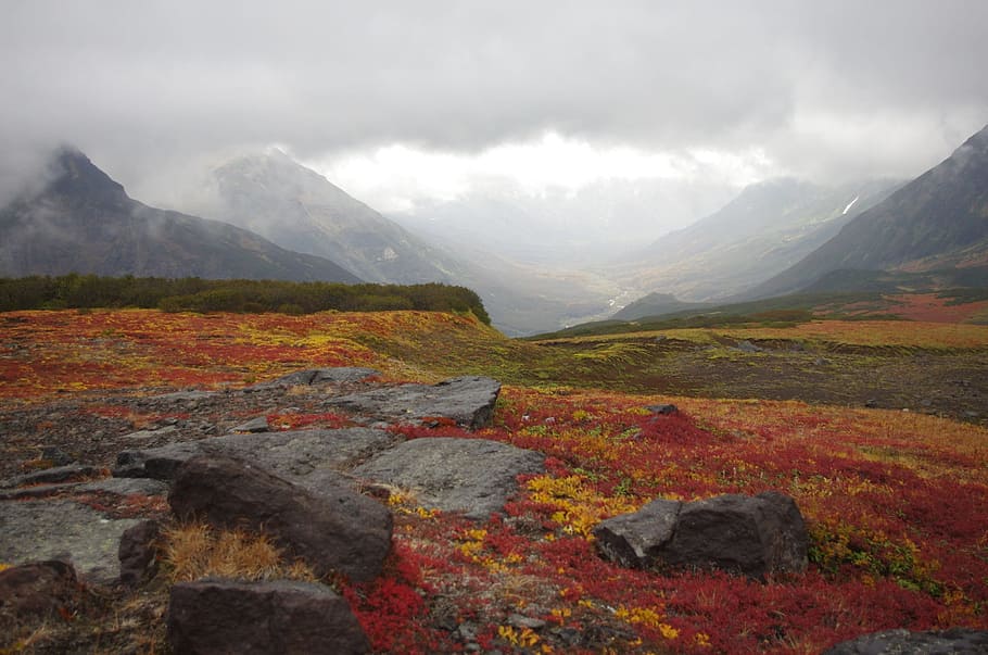grey, rock, surrounded, red, orange, plants, mountain tundra, mountains, ranges, vertices