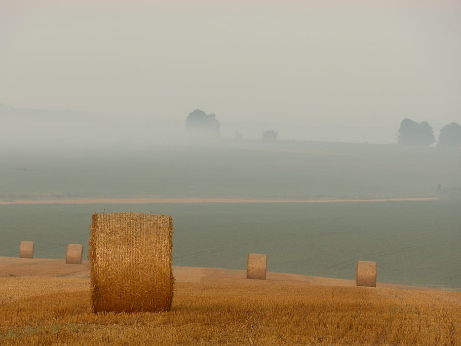 round, brown, hay bales, plains, daytime, hays, cloudy, day, grey, sky