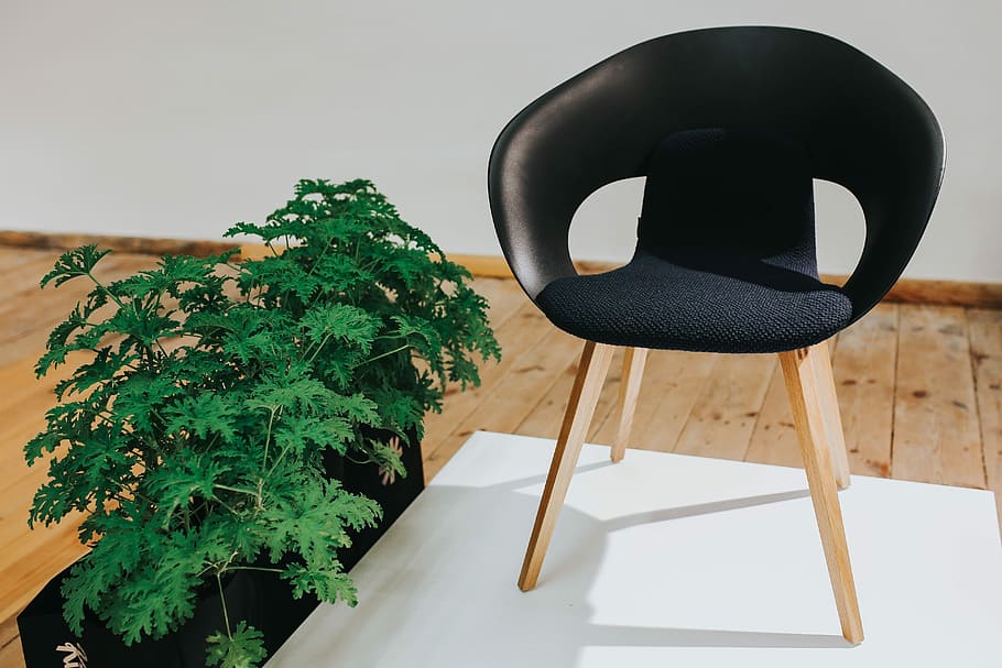 さまざまなデザイナーの椅子, テーブル, 展示会, デザイナー, 椅子, アート, デザイン, インスタレーション, 木材-素材, 室内