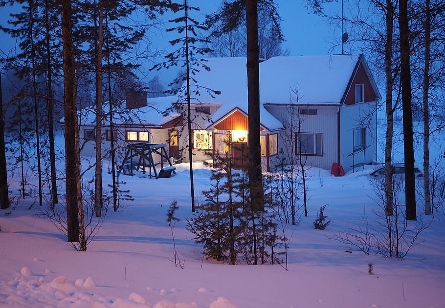 Neve, Casa, Finlândia, Lapônia, Árvores, inverno, frio, nevado, noite, conifere