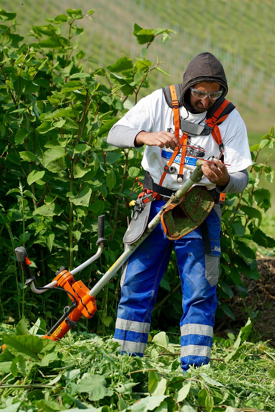 weed, man, overalls, mulcher, hand labor, spindler, working, men, manual Worker, agriculture