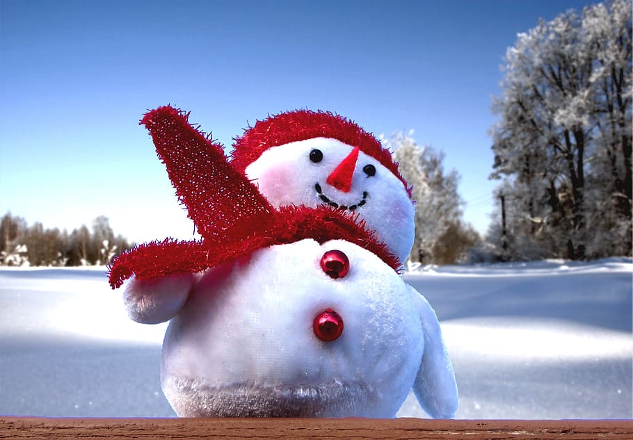 muñeco de nieve, invierno, nieve, navidad, frío, temporada, cielo, decoración, diciembre, estacional