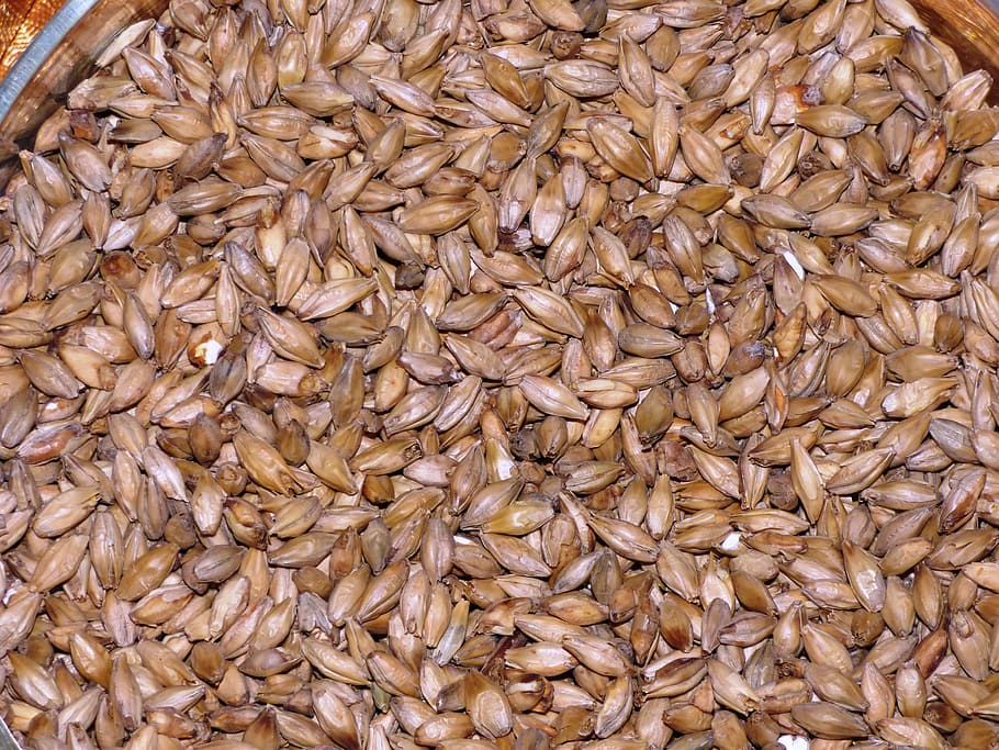 brown seeds, the malt, wheat malt, barley malt, grains, grain, corn, beer, beer production, full frame