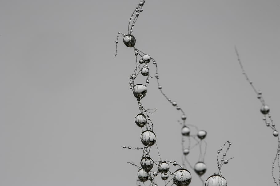 drop, network, synapse, pearl, gray, raindrop, villa, nature, close-up, water