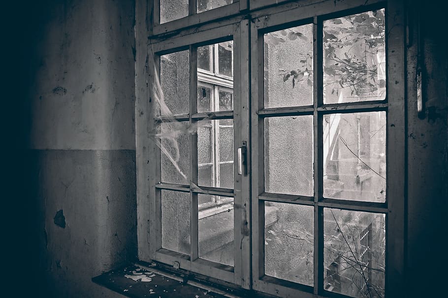 grayscale photo, glass window, daytime, Lost, Window, Old, Ruin, lost places, leave, decay