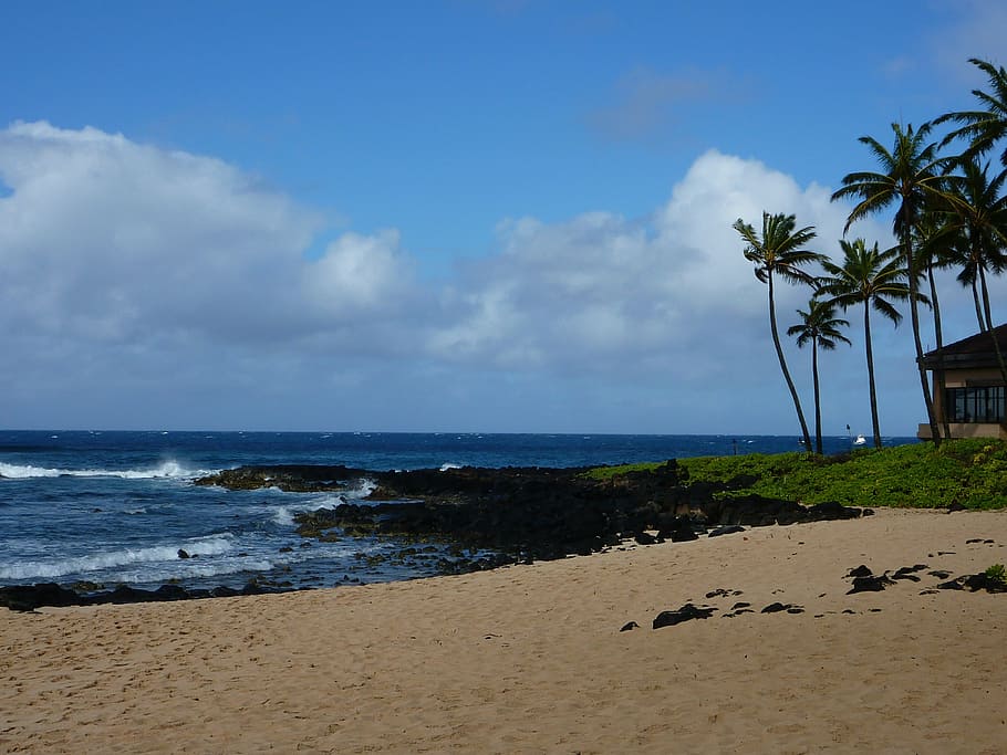 kauai, samudra, pantai hawaii, pulau, pantai, hawai, musim panas, laut, pasir, air