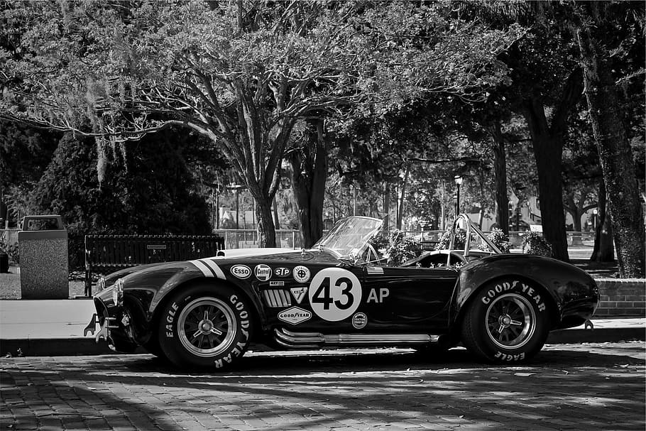 grayscale photography, convertible, coupe, parked, tree, gray, scale, car, Shelby, Cobra