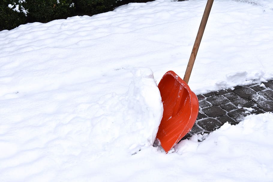 snow, winter, cold, at the court of, frost, nature, snow removal, shovel, winter holidays, february