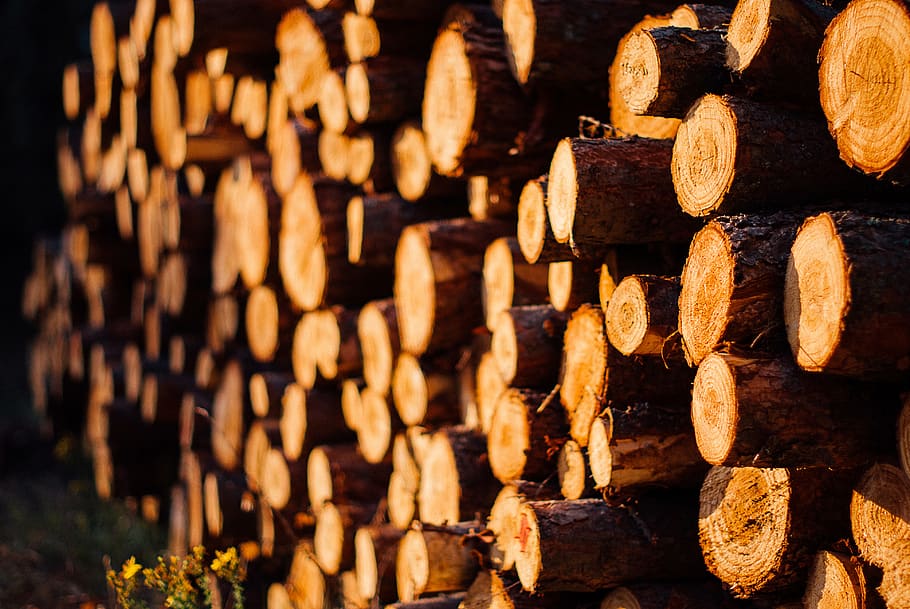 madera, troncos, gran grupo de objetos, pila, madera - material, registro, abundancia, bosque, leña, industria maderera