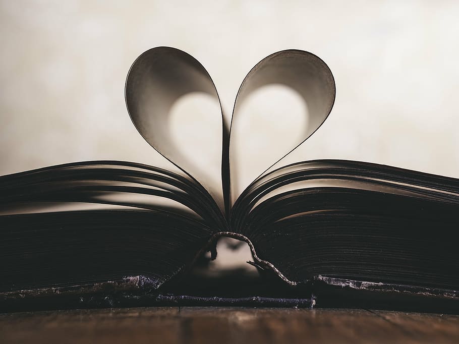 buku coklat, kertas, roman, simbol, valentine, cinta, buku, hari, tua, terbuka