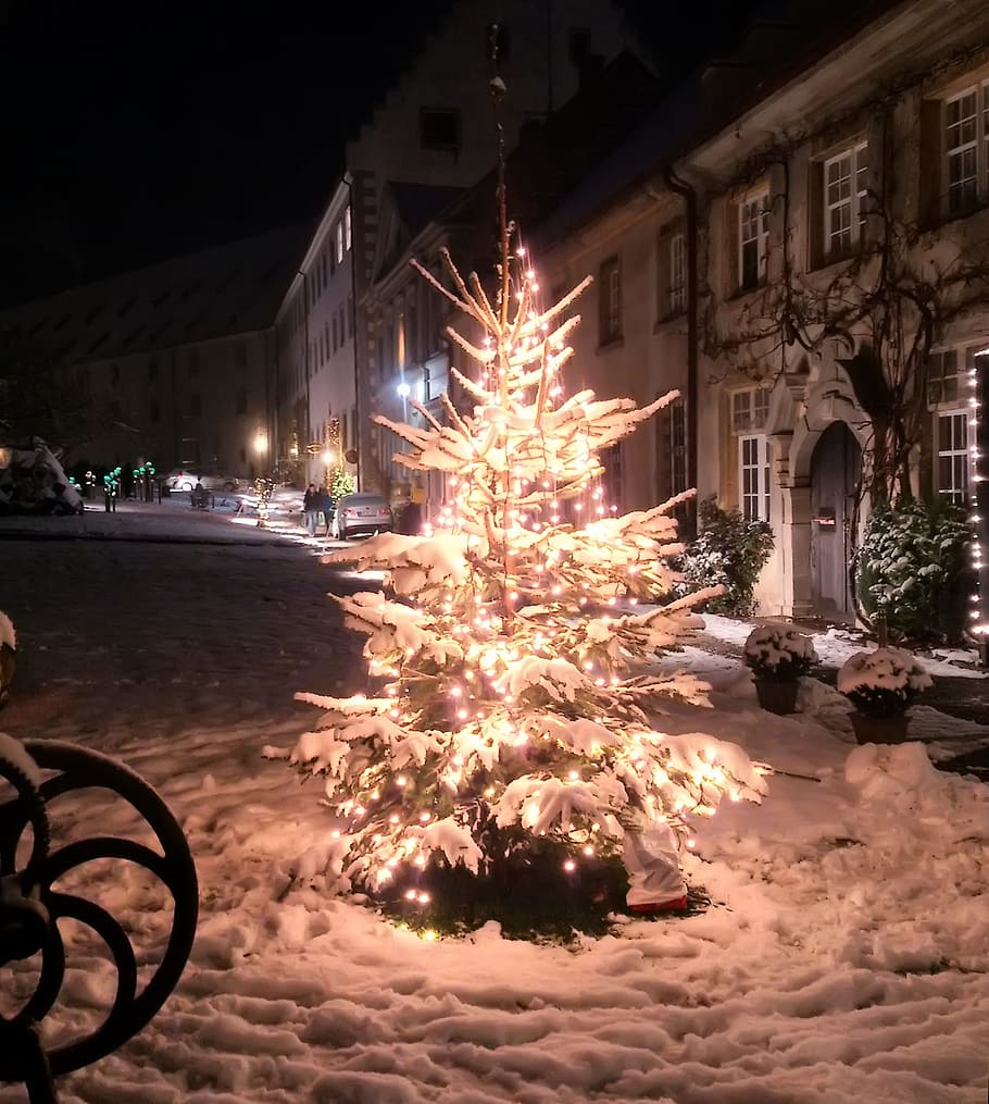 pine tree, string lights, lawn, covered, snow, christmas, tree, night, light, dark