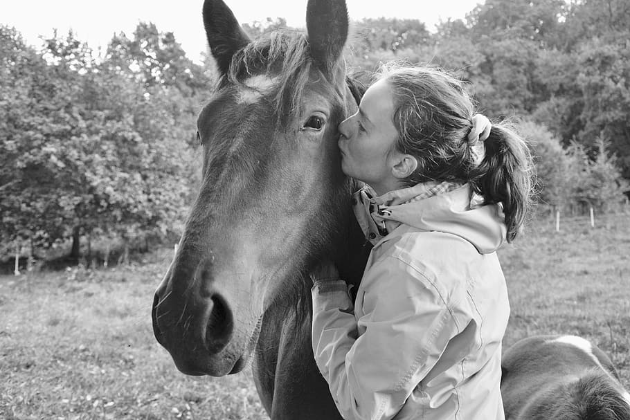 kiss, kisses, horse, girl, young woman, complicity, tenderness affection, domestic animal, friendships, horseback riding