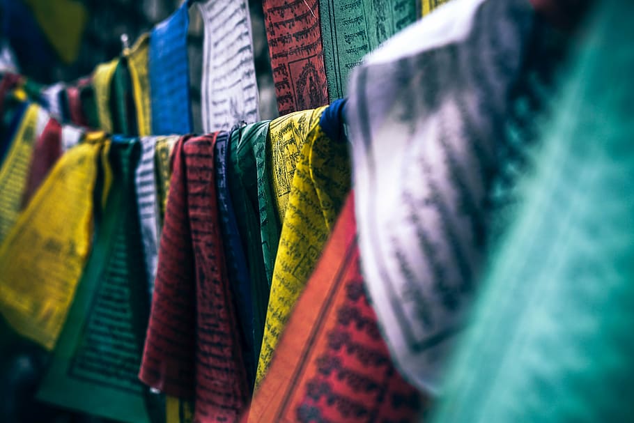 closeup, hanged, towels, colorful, clothes, collection, design, art, clothing, retail