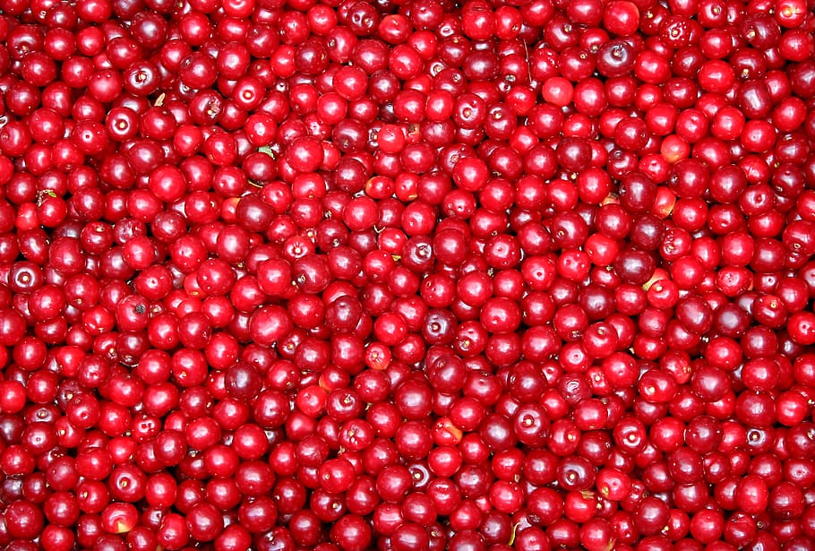 currant, fruit, red, berries, the background, food and drink, food, healthy eating, backgrounds, freshness