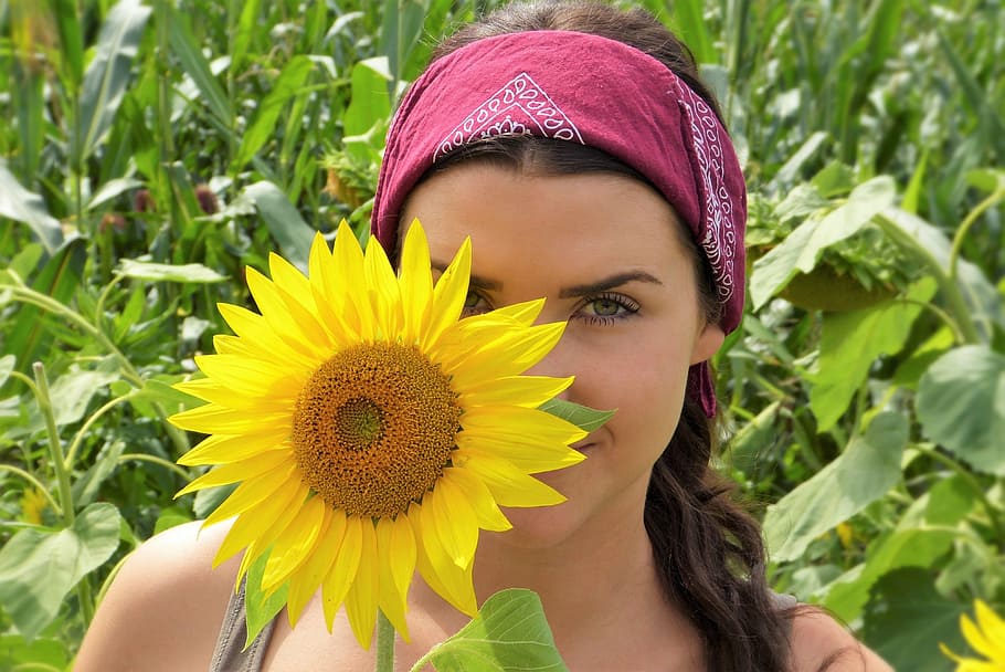 perempuan memegang bunga matahari, bunga matahari, gadis, wajah, matahari, musim panas, panas, kulit, rambut, perlindungan matahari