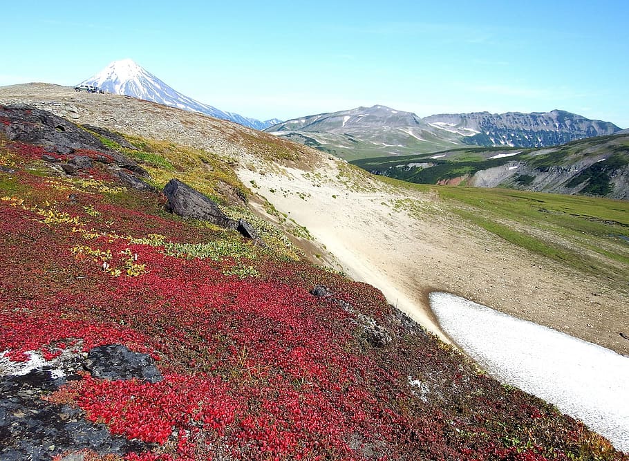 mountains, volcano, mushrooms, tundra, autumn, road, landscape, nature, the foot, kamchatka