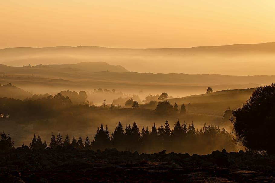 silhouette photography, forest, landscape, valley, mist, misty, mountain, sunrise, view, rural