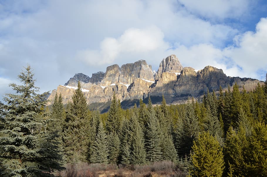 castle mountain, mountain, rockies, rocky mountains, canadian, canada, plant, tree, beauty in nature, scenics - nature