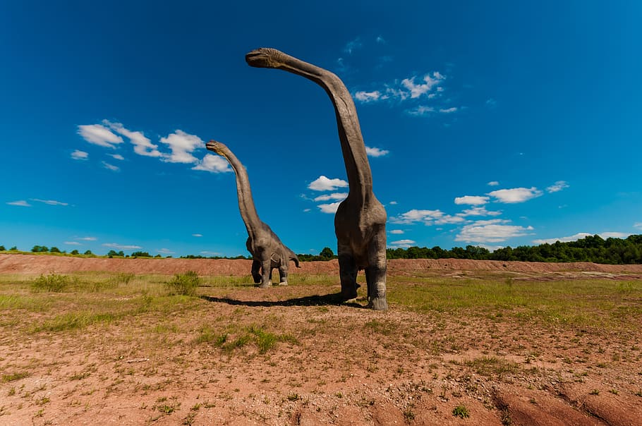 dua, brachiosaurus altithorax, berjalan, siang hari, dinosaurus, gad, mamalia, dino, punah, model