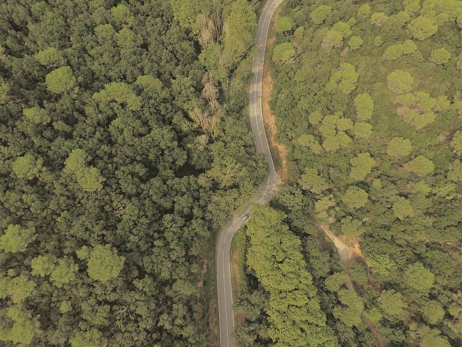 aerial, road, car, forest, wallpaper, drone, nature, tree, mountain, view