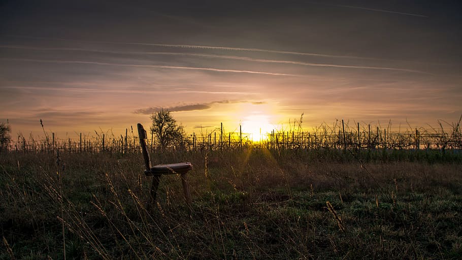 brown, chain, grass field, golden, hour, dining, chair, placed, grasses, sunset