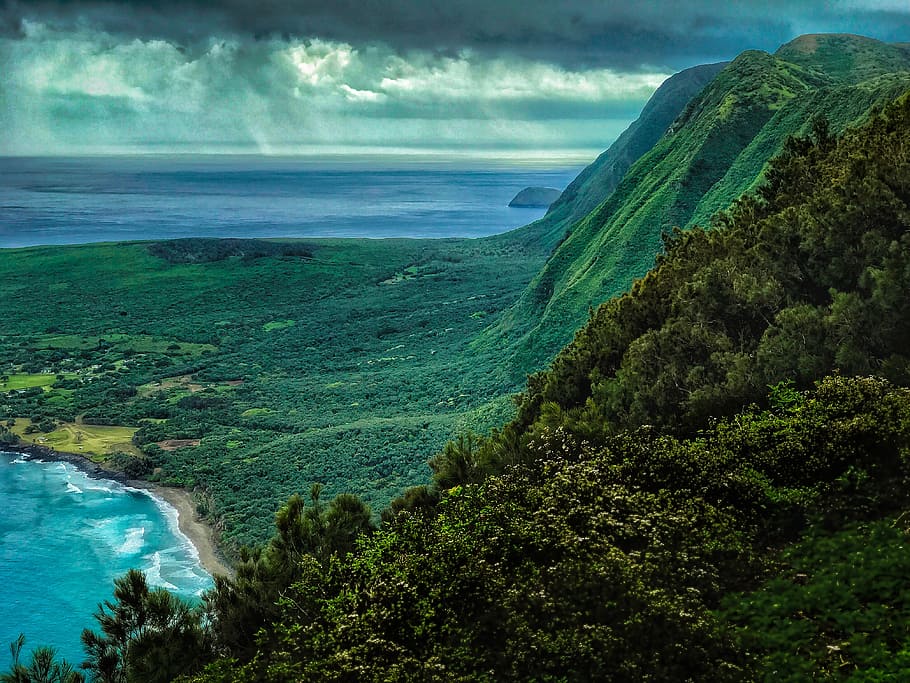 空中, 写真, 緑, 山, モロカイ, ハワイ, ハワイアン, 自然の美しさ, 海, 風景-自然