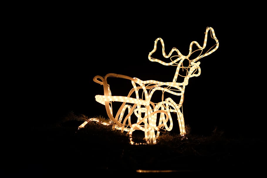 background, christmas, advent, reindeer, lights, decoration, bright, christmas decoration, background image, hell