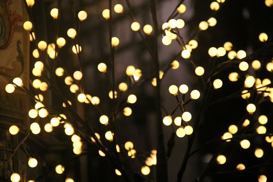 bokeh lights, lights, light, christmas, lighting, string lights, light garland, lamps, electricity, garland lights