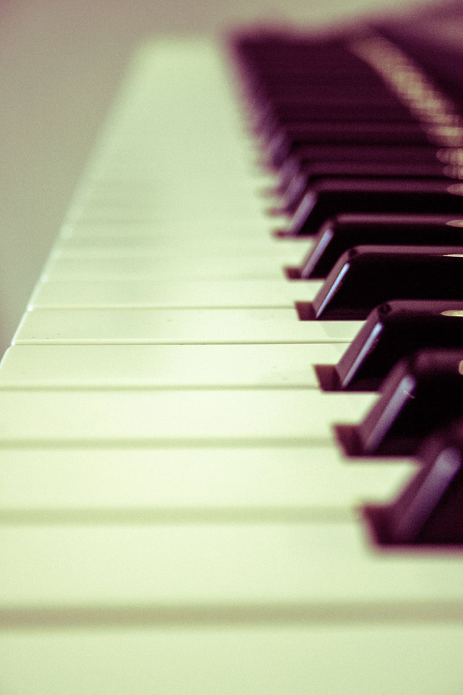 shallow, focus photography, piano keys, keyboard, organ, piano, music, instrument, piano key, musical instrument