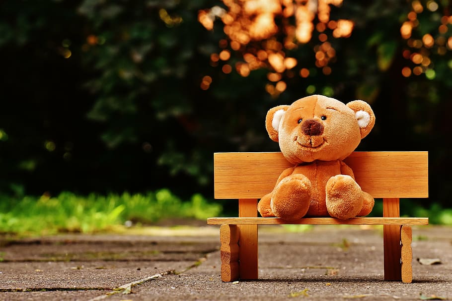 brown, bear, plush, bench, teddy, bank, sit, fun, funny, cute