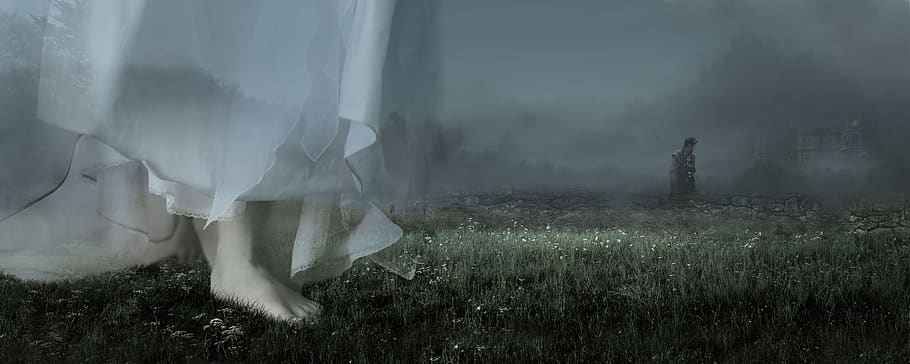 ghost, wuthering heights, cathy, heathcliff, moors, house, novel, story, fog, grass