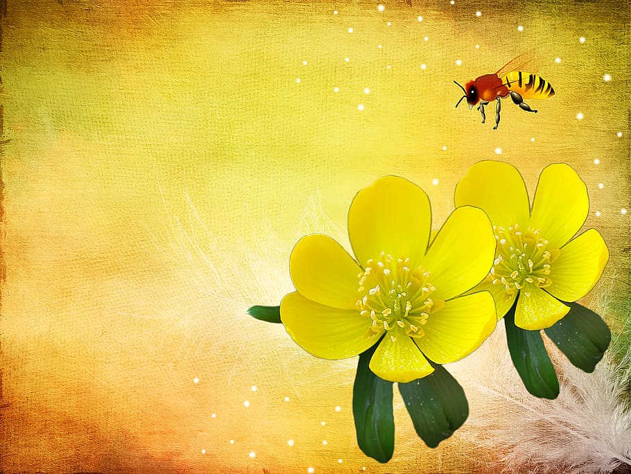 lukisan, lebah, penerbangan, kuning, bunga, potentilla, Kobold, tanaman, musim semi, dom teks