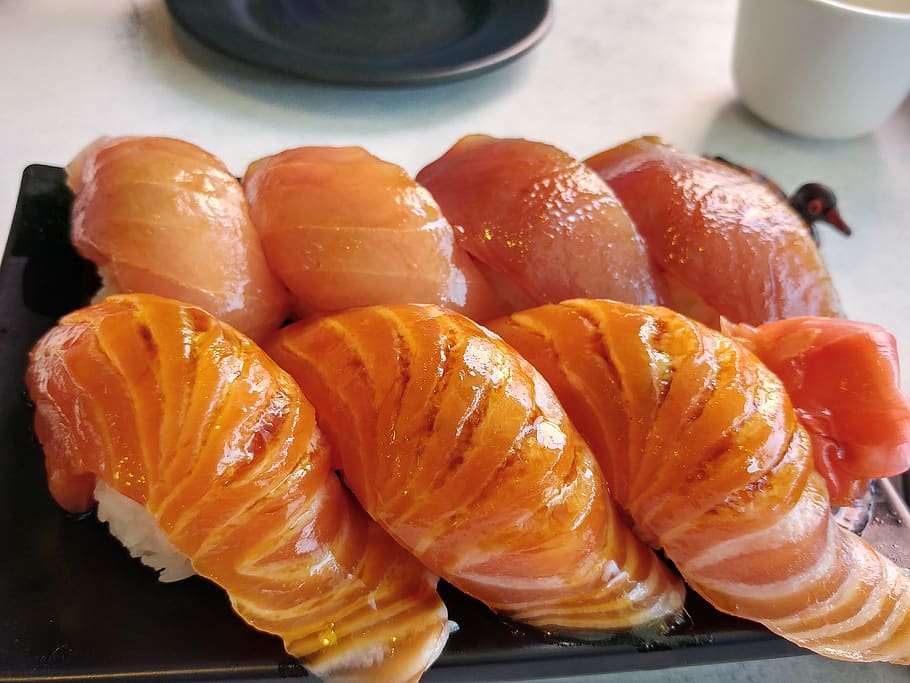 sushi, salmón, comida, japón, cuidado, pescado crudo, cerdo a la parrilla con arroz, comida y bebida, frescura, naturaleza muerta