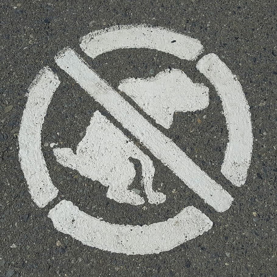 Dogs, Signs, Symbol, Crapping, Forbidden, road, transportation, outdoors, day, sign